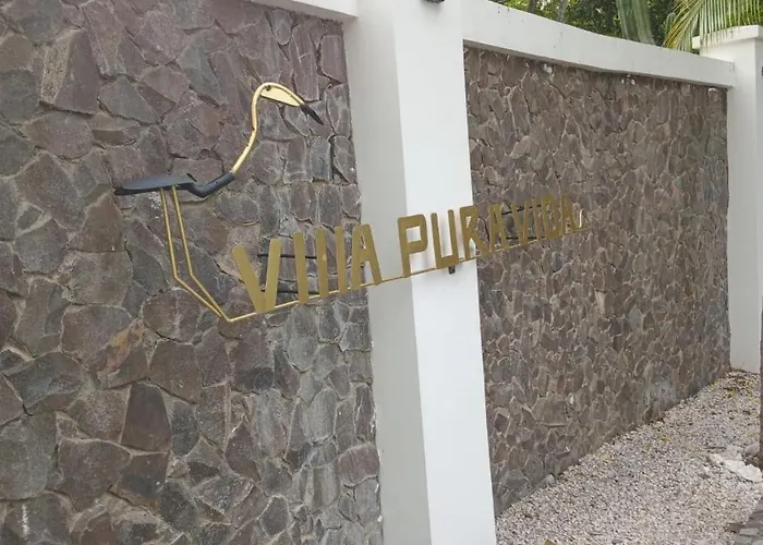 Pura Vida