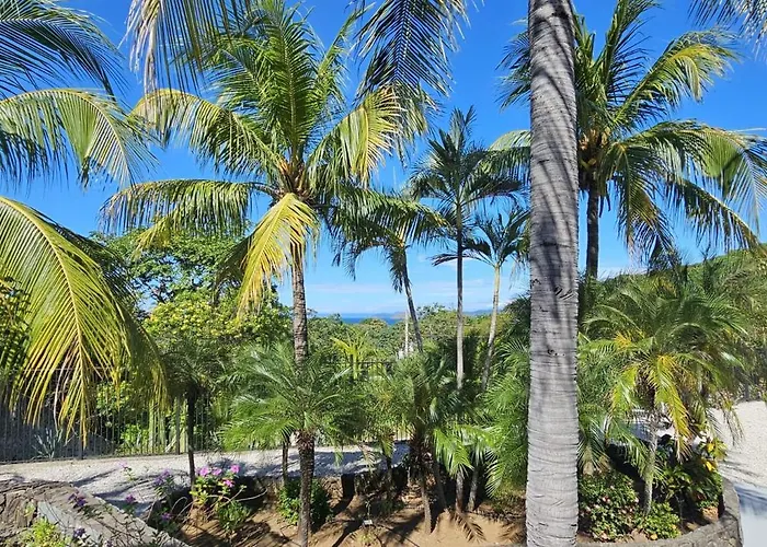 Pura Vida